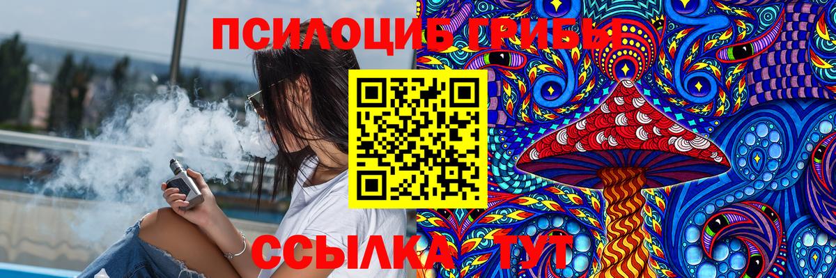 Галлюциногенные грибы Cubensis Кохма