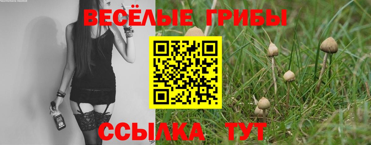 Кохма  магазин продажи   Галлюциногенные грибы Cubensis  Вход с VPN  Псилоцибиновые грибы мицелий 
